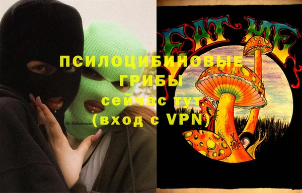 гашик Верхний Тагил