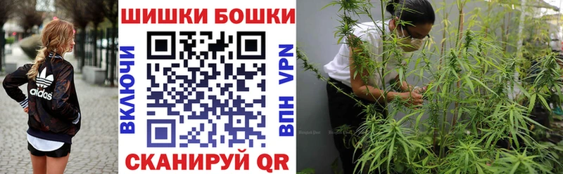 Бошки Шишки ГИДРОПОН  мориарти официальный сайт  Вилючинск 